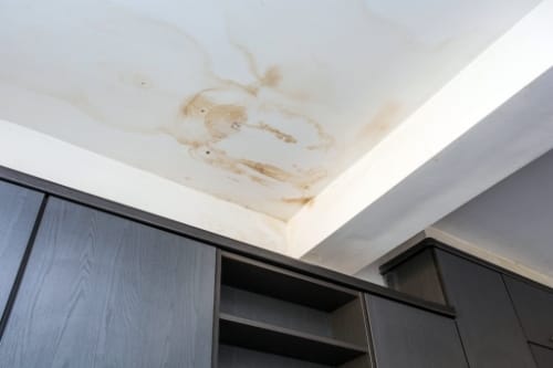 east coast enterprises water damage repair